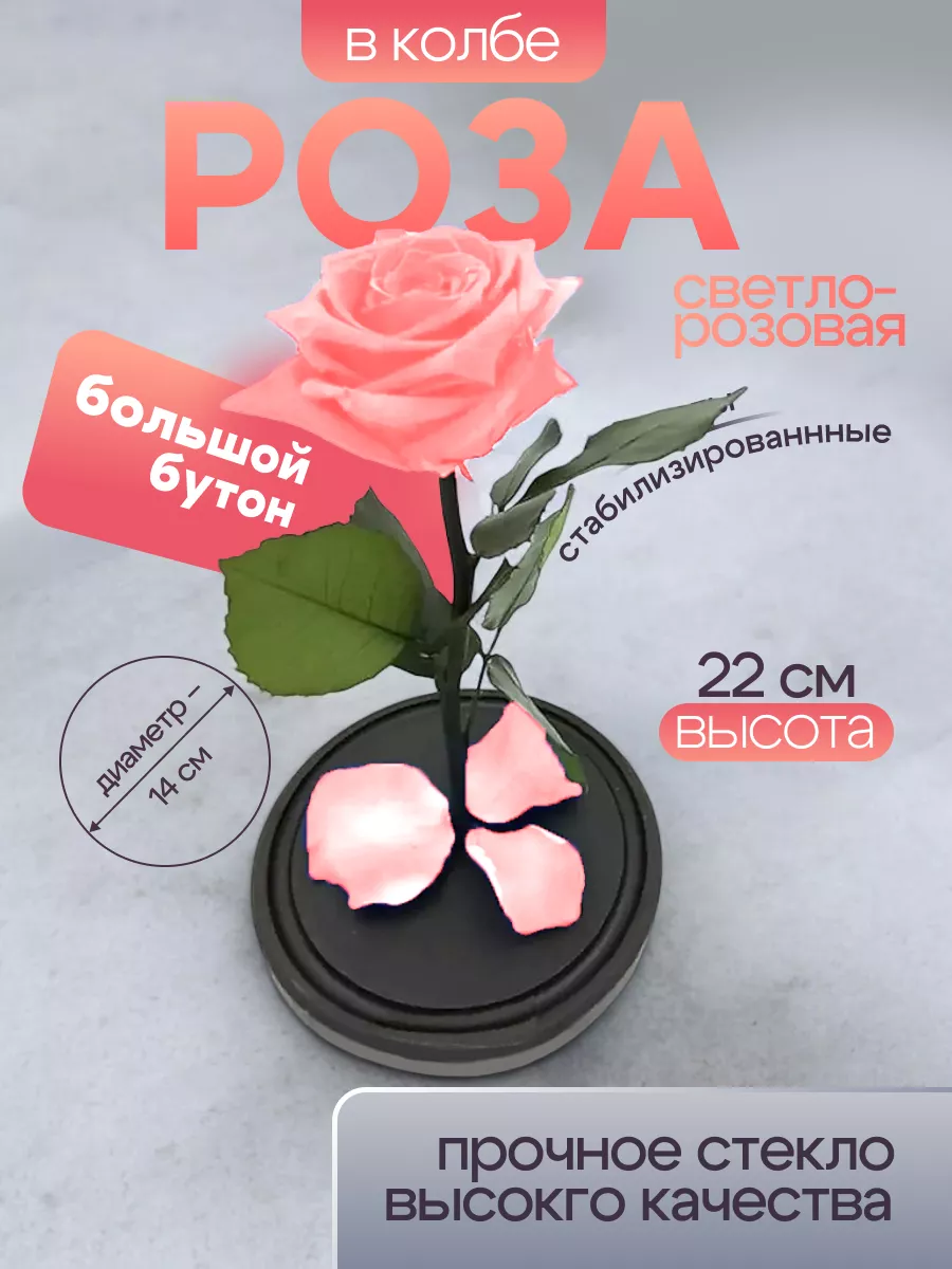 Стабилизированная Роза в колбе PREMIUM Красавица и Чудовище The One Rose  купить по цене 1 591 ₽ в интернет-магазине Wildberries | 10178695