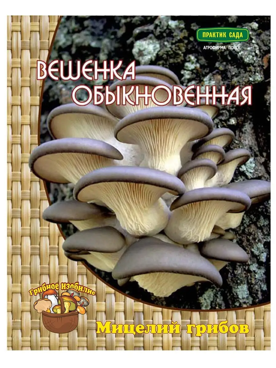 Мицелий Вешенка обыкновенная, 12семян в пакете ПОИСК купить по цене 0 сум в  интернет-магазине Wildberries в Узбекистане | 10390951