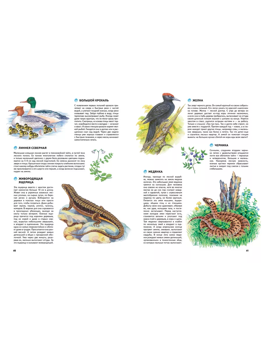 Природа России. Иллюстрированная энциклопедия Издательство Махаон купить по  цене 429 ₽ в интернет-магазине Wildberries | 10795595
