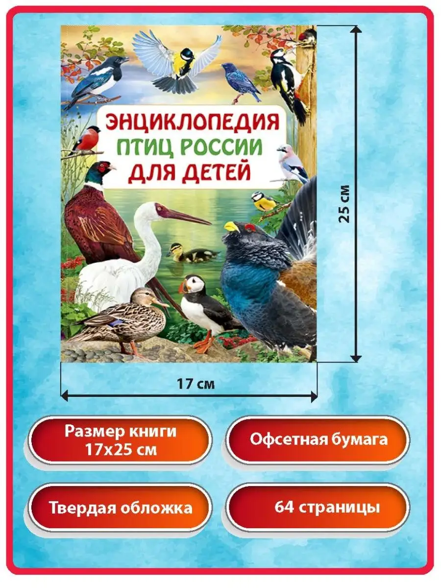 Энциклопедия птиц России для детей. Книги для малышей Владис купить по цене  0 сум в интернет-магазине Wildberries в Узбекистане | 10924231