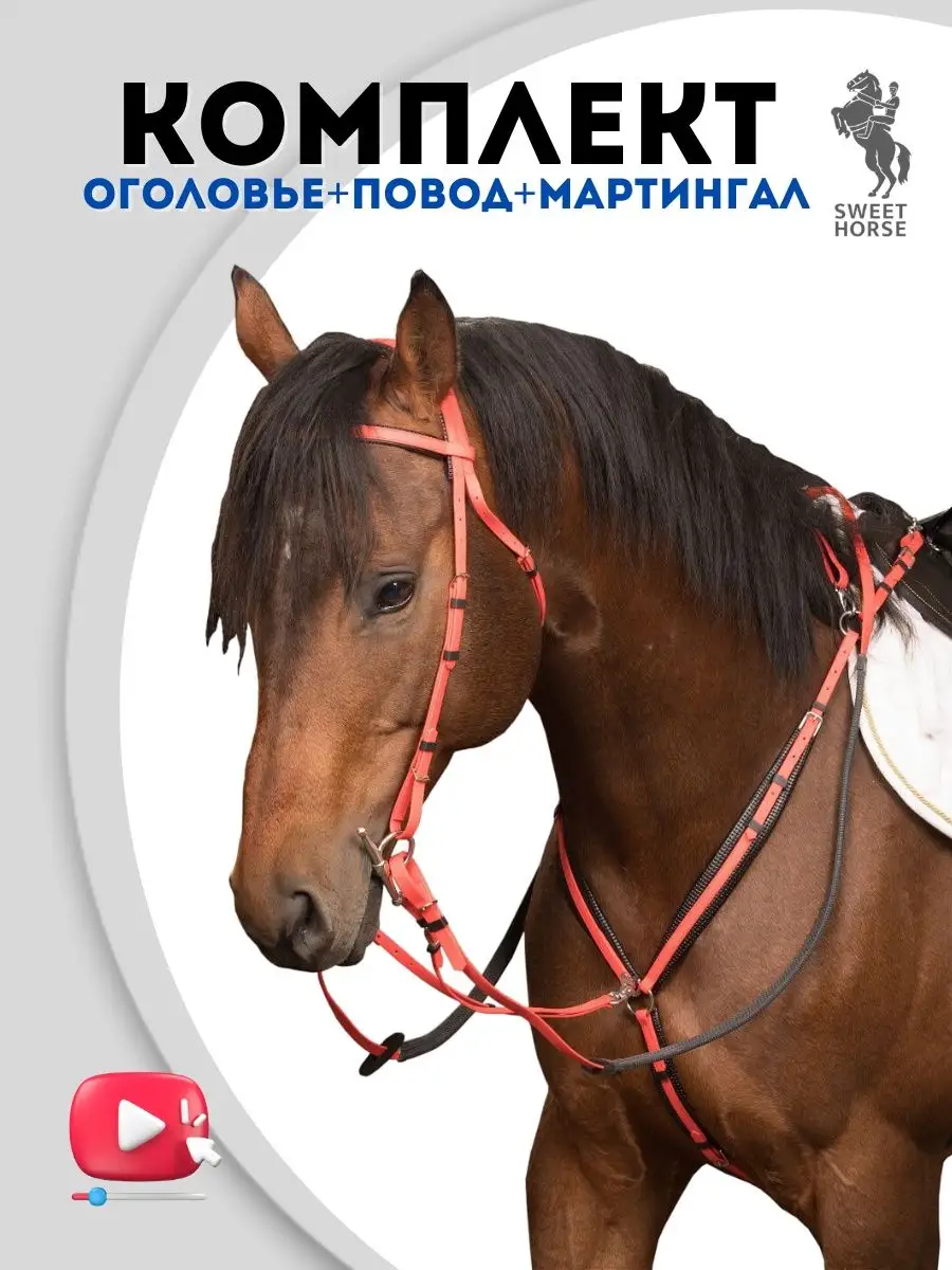 Sweethorse Сет - оголовье + повод + мартингал для лошадей