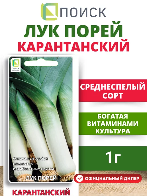 Купить лук-севок стурон (длинный желтый), 1 кг по цене 520 руб. в интернет магаз