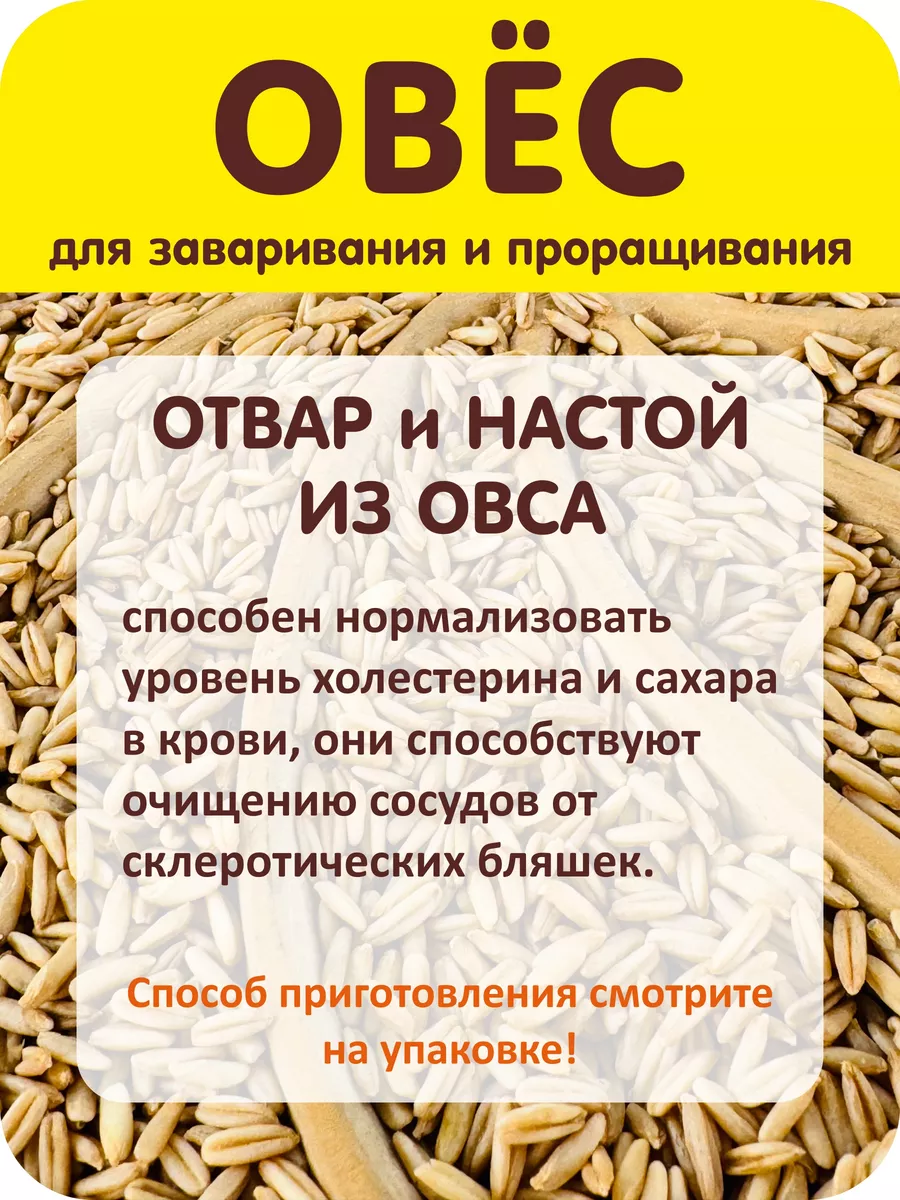 Овес для заваривания и проращивания 800 гр Житница здоровья купить по цене  56 800 сум в интернет-магазине Wildberries в Узбекистане | 12329801