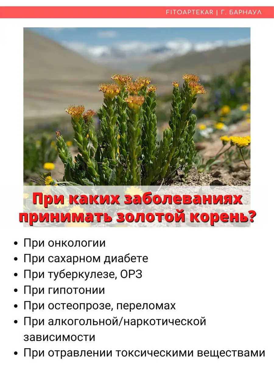 Настойка Золотого Корня Купить