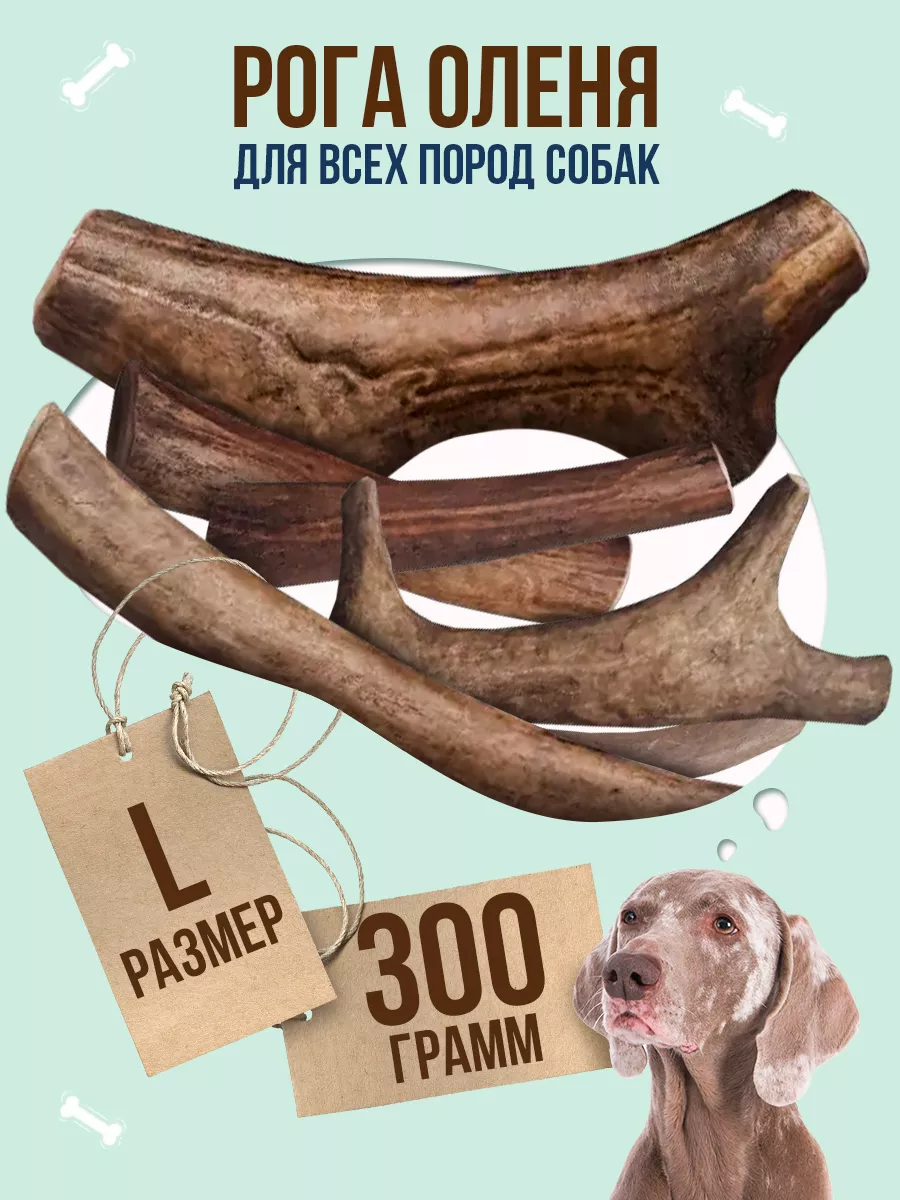 Грызак олений рог L 300 г натуральная игрушка Рога рожки Antler купить по  цене 46,53 р. в интернет-магазине Wildberries в Беларуси | 12798129