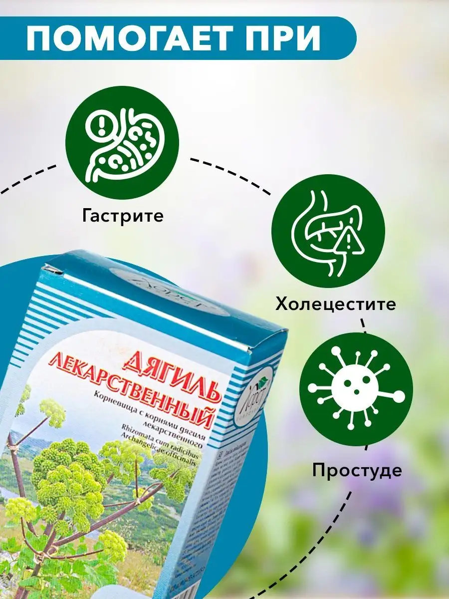 Дягиль лекарственный, травяной сбор, 50 г ХОРСТ купить по цене 0 р. в  интернет-магазине Wildberries в Беларуси | 12983061