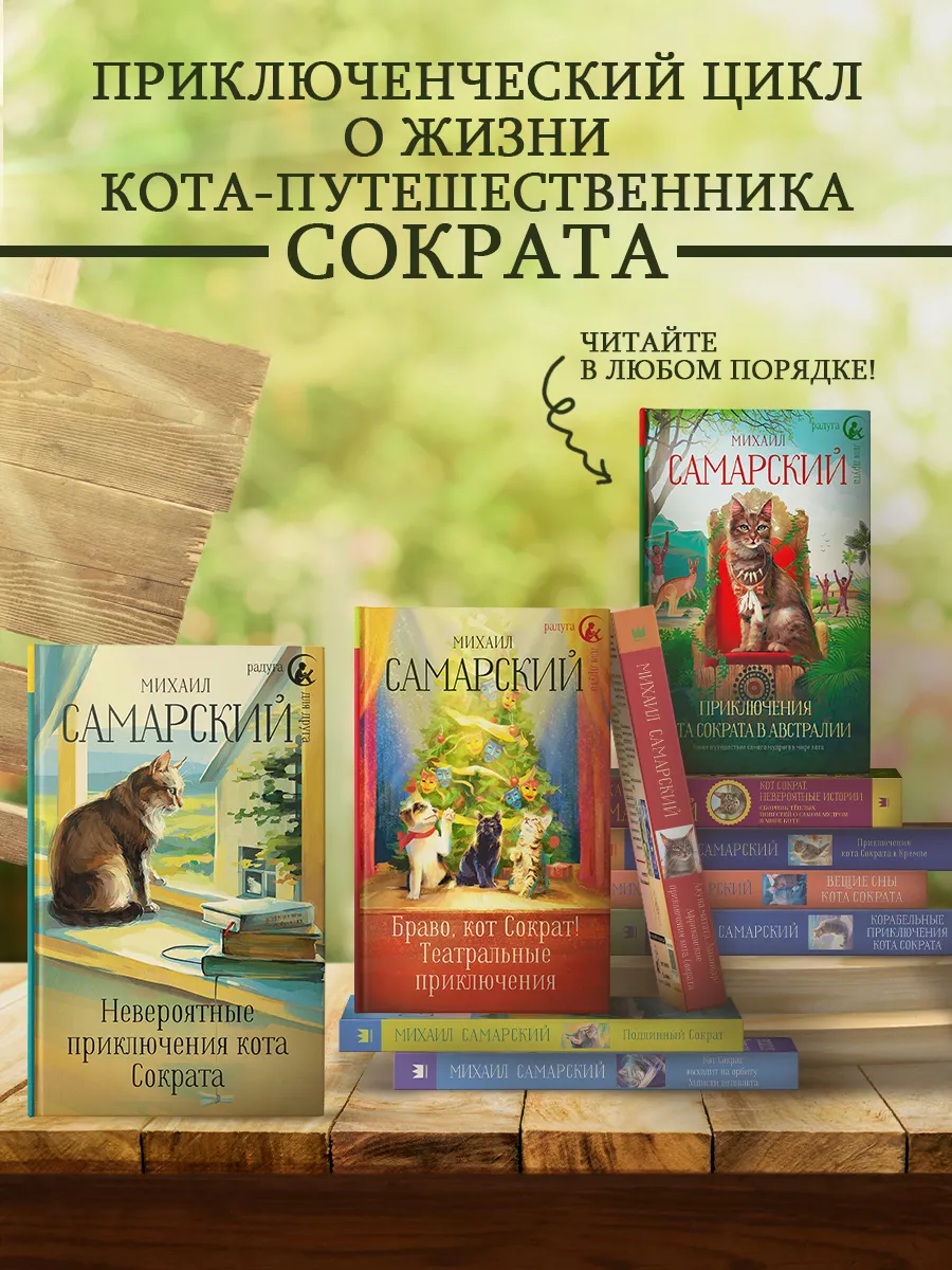 Книга приключения кота сократа. Невероятные приключения кота Сократа. Приключения кота Сократа в Австралии.