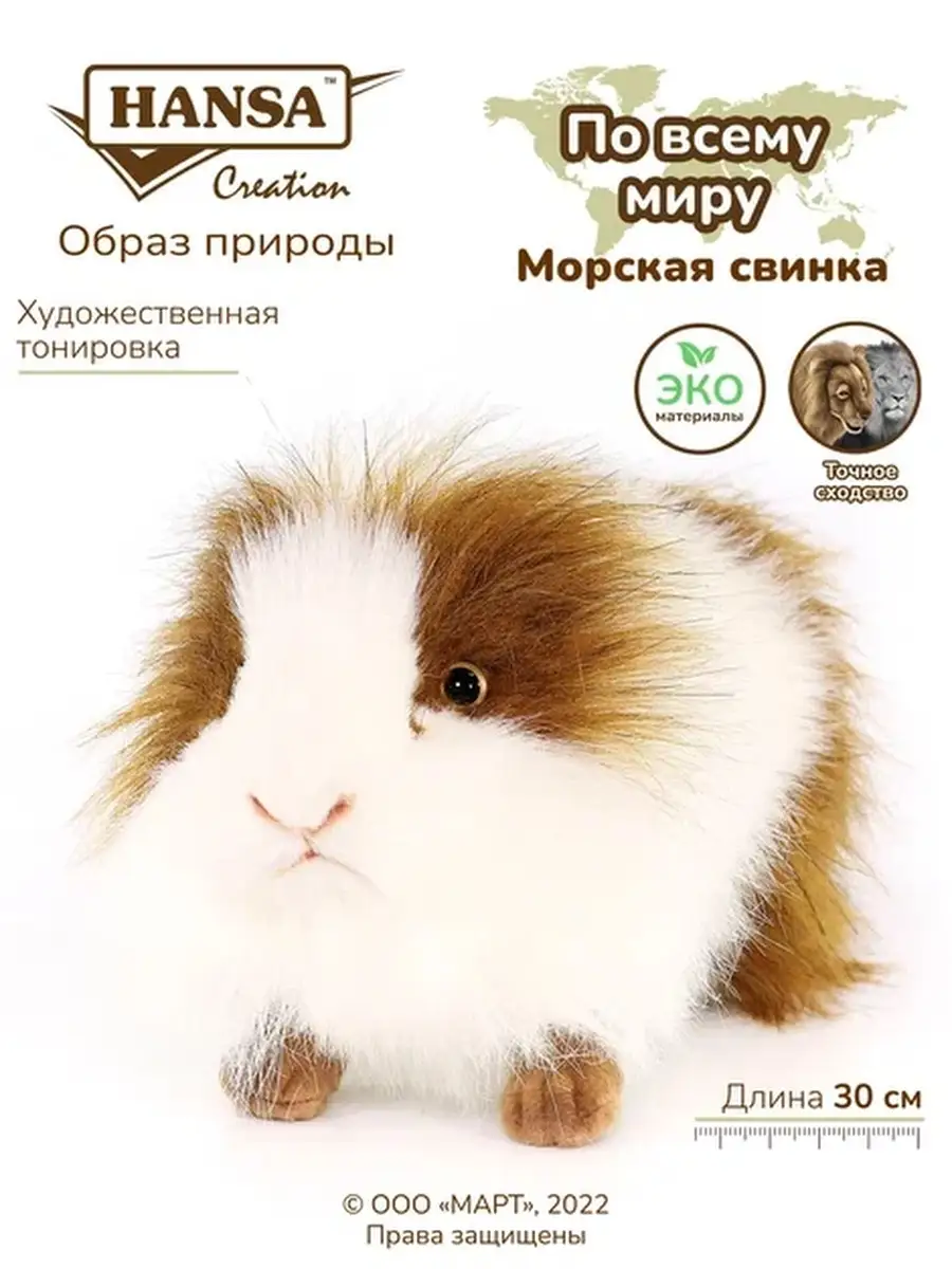 Реалистичная мягкая игрушка Морская свинка 13 см Hansa Creation купить по  цене 3 007 ₽ в интернет-магазине Wildberries | 2131629