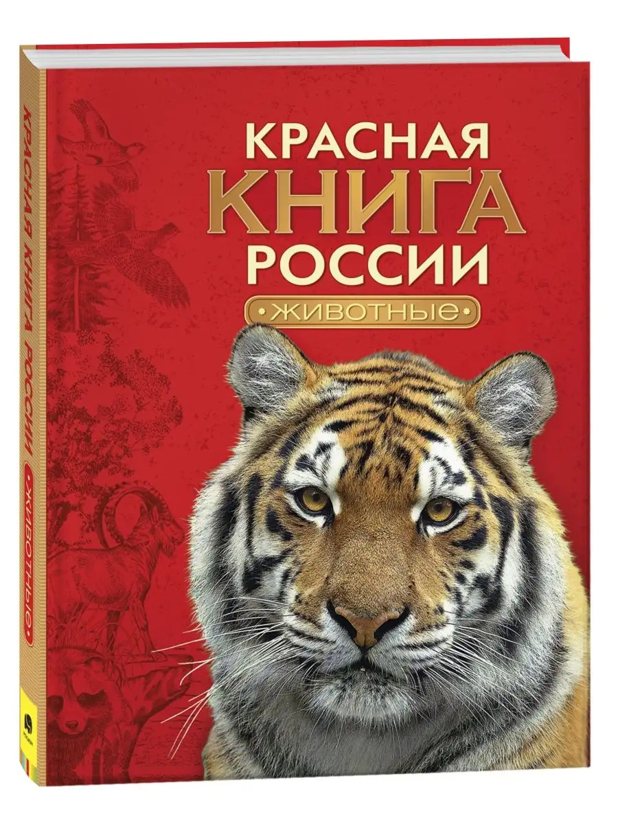 Красная книга России. Животные. Энциклопедия для детей РОСМЭН купить по  цене 33,86 р. в интернет-магазине Wildberries в Беларуси | 2470197