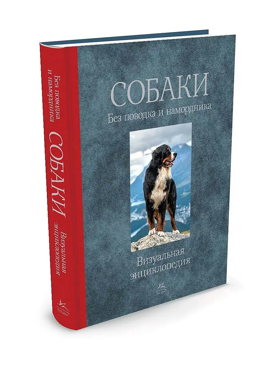 Собачьи книги. Тамсин Пикерел собаки книга. Книги о собаках для детей. Собака с книжкой. Энциклопедия о собаках