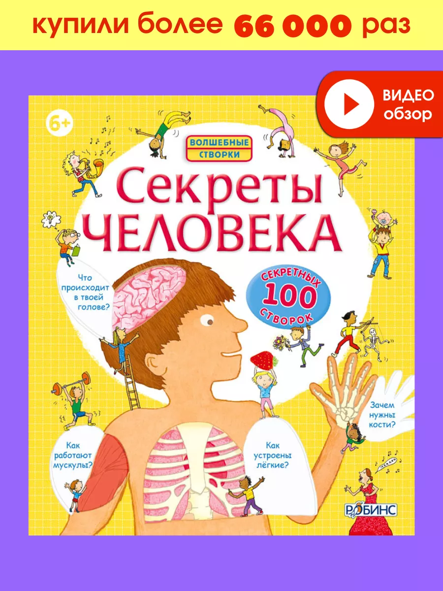 Секреты человека Книга с окошками Издательство Робинс купить по цене 1 355  ₽ в интернет-магазине Wildberries | 2948916