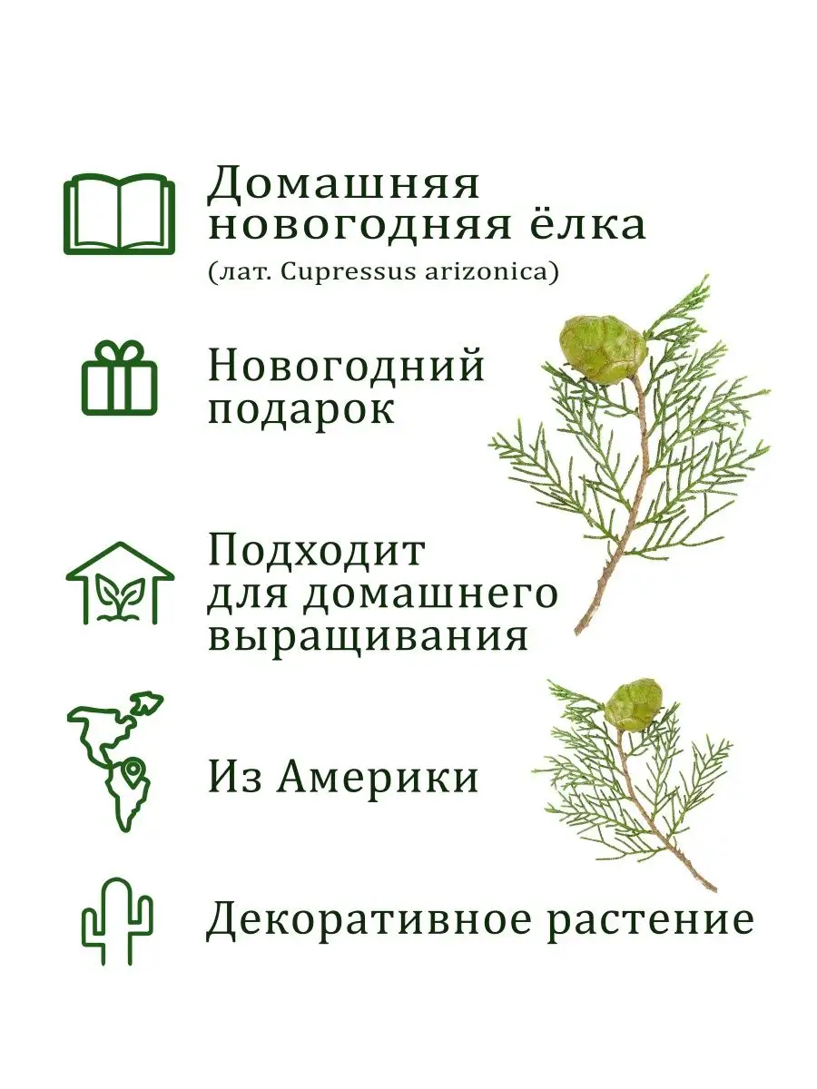 Набор для выращивания растений и цветов в горшке для дома Вырасти, Дерево!  купить по цене 73 600 сум в интернет-магазине Wildberries в Узбекистане |  3943858