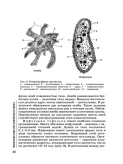 Структура билета по медицинской биологии