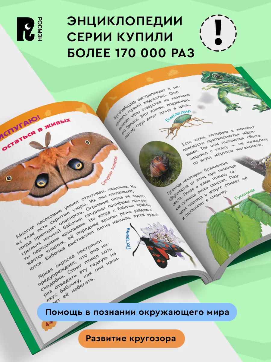 Насекомые. Энциклопедия для детского сада для детей от 4 лет РОСМЭН купить  по цене 40 400 сум в интернет-магазине Wildberries в Узбекистане | 7134942