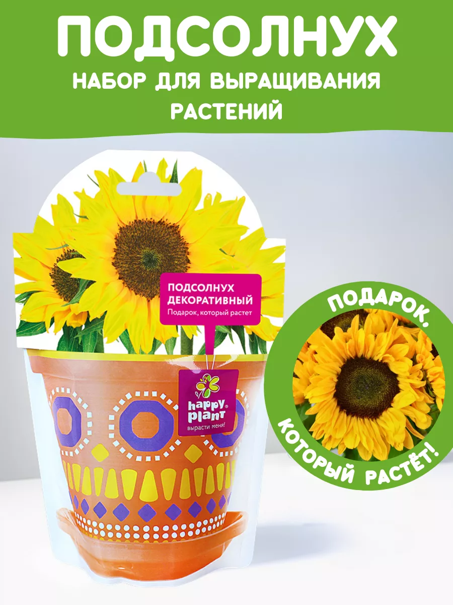 Набор для выращивания растений Вырасти сам Подсолнух Happy Plants купить по  цене 15,32 р. в интернет-магазине Wildberries в Беларуси | 9061828