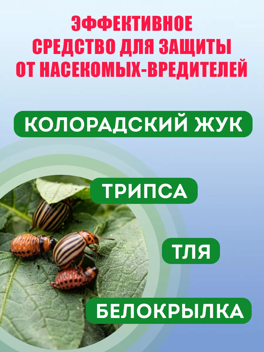 Средство от колорадского жука белокрылки тли Командор 10 мл Грин Бэлт  купить по цене 193 ₽ в интернет-магазине Wildberries | 9363059