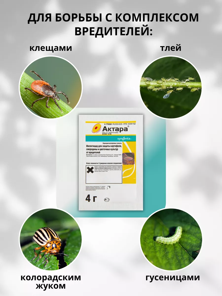 Защита от вредителей тли на розах смородине цветах Актара 4г Syngenta  купить по цене 352 ₽ в интернет-магазине Wildberries | 9614853