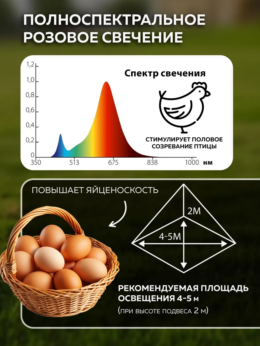 Светодиодная лампа для птиц 9 Вт Uniel купить по цене 506 ₽ в  интернет-магазине Wildberries | 9950923