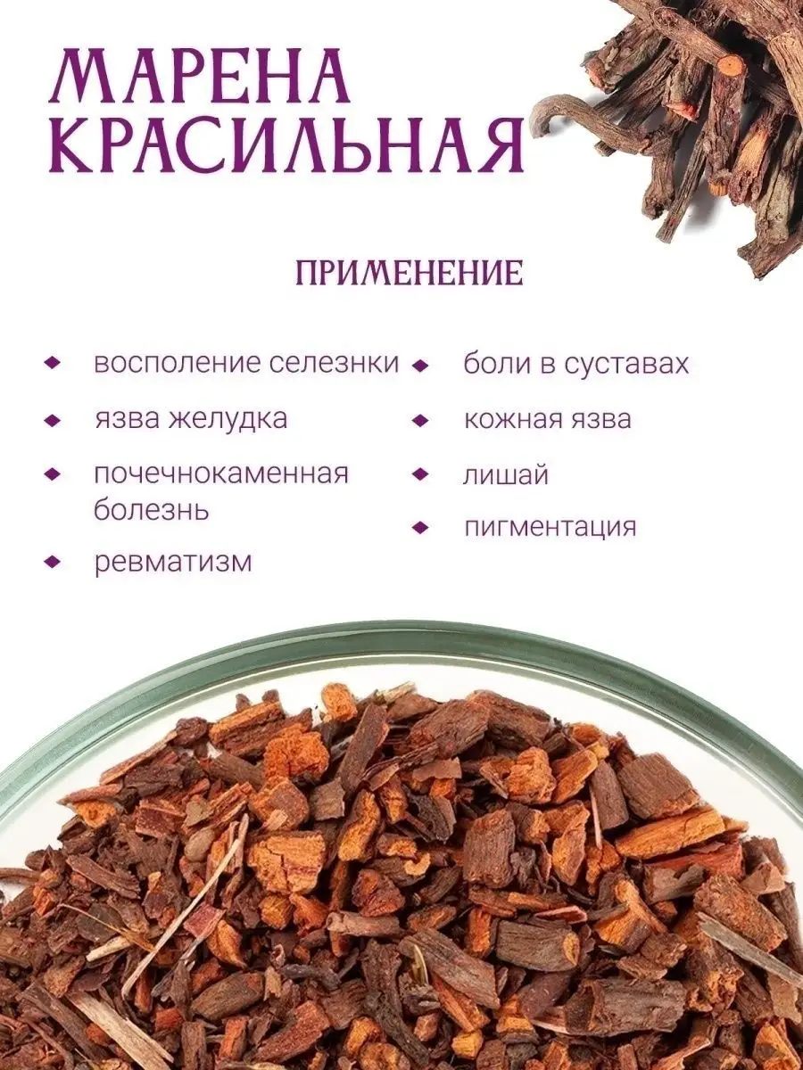 Марена красильная почки